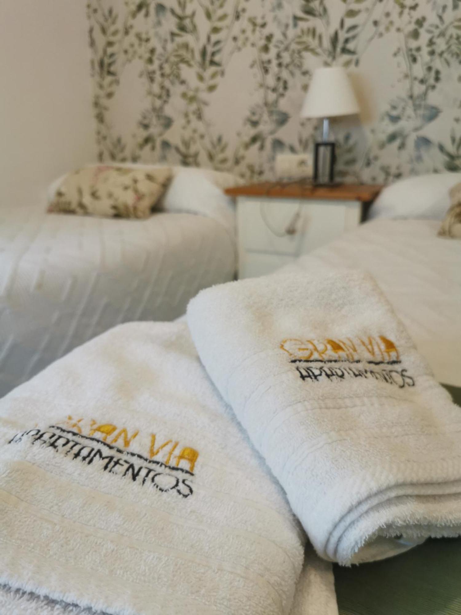 Apartamentos Gran Via Salamanca Szoba fotó